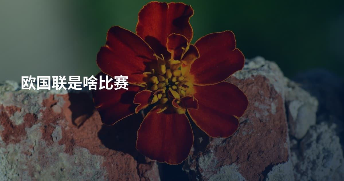 欧国联是啥比赛