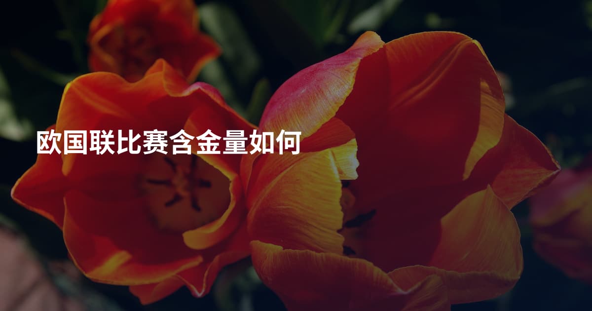 欧国联比赛含金量如何