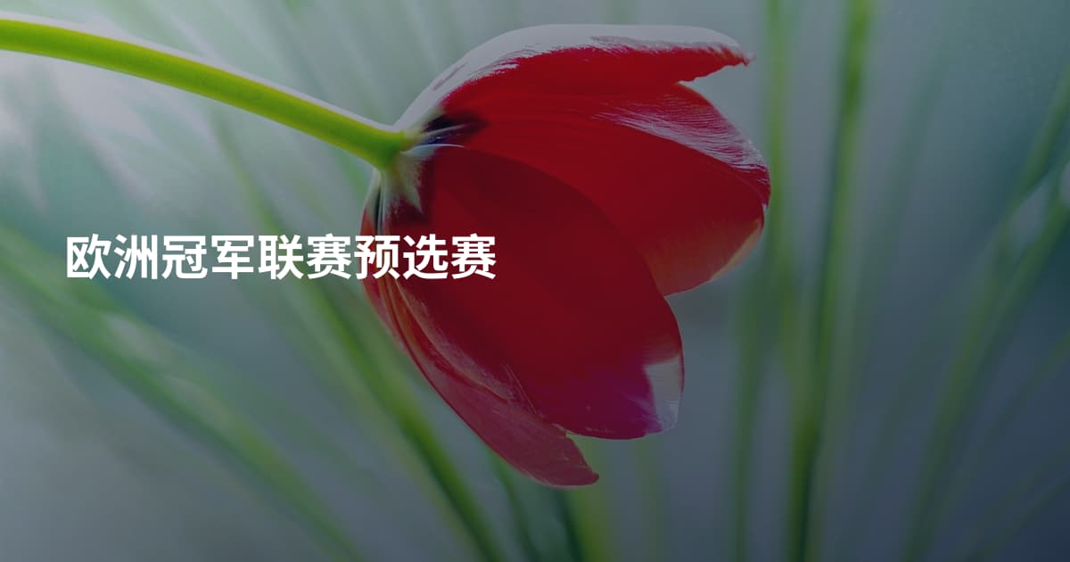 欧洲冠军联赛预选赛