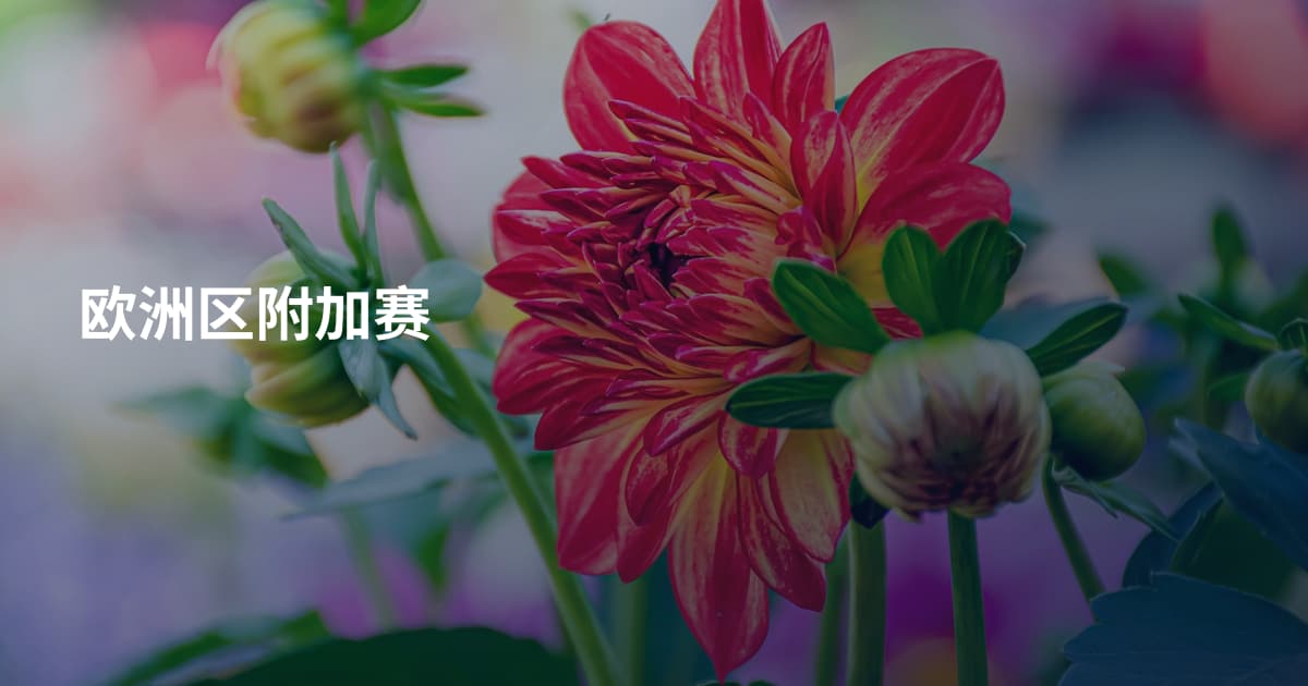 欧洲区附加赛