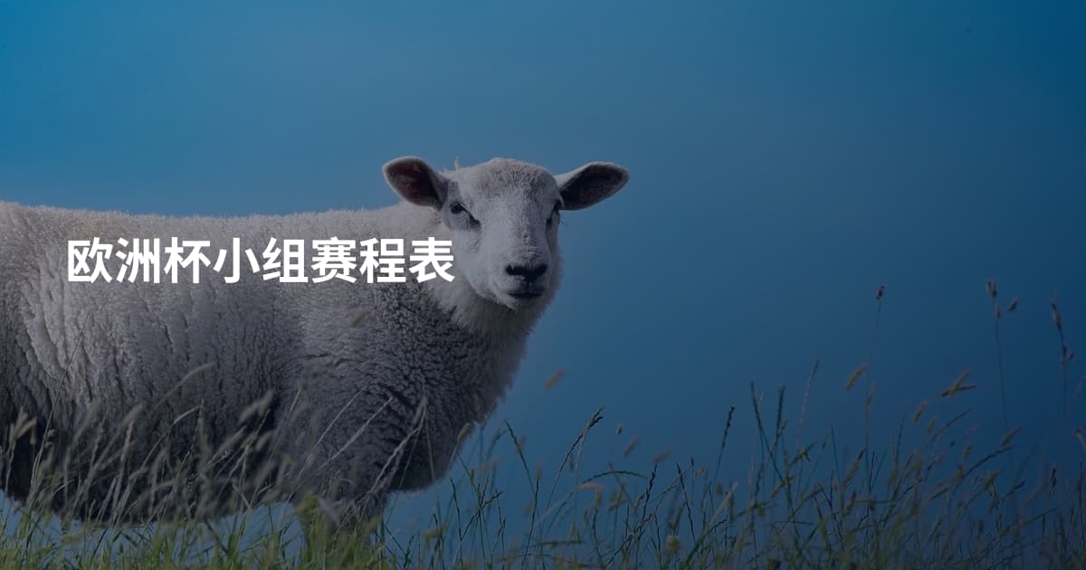 欧洲杯小组赛程表
