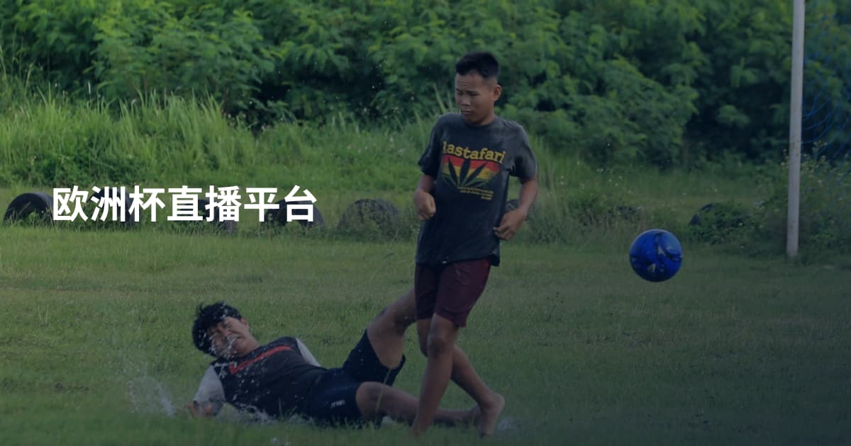 欧洲杯直播平台