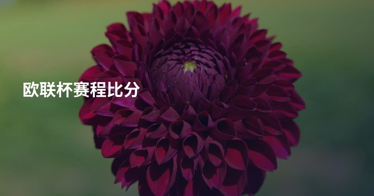 欧联杯赛程比分