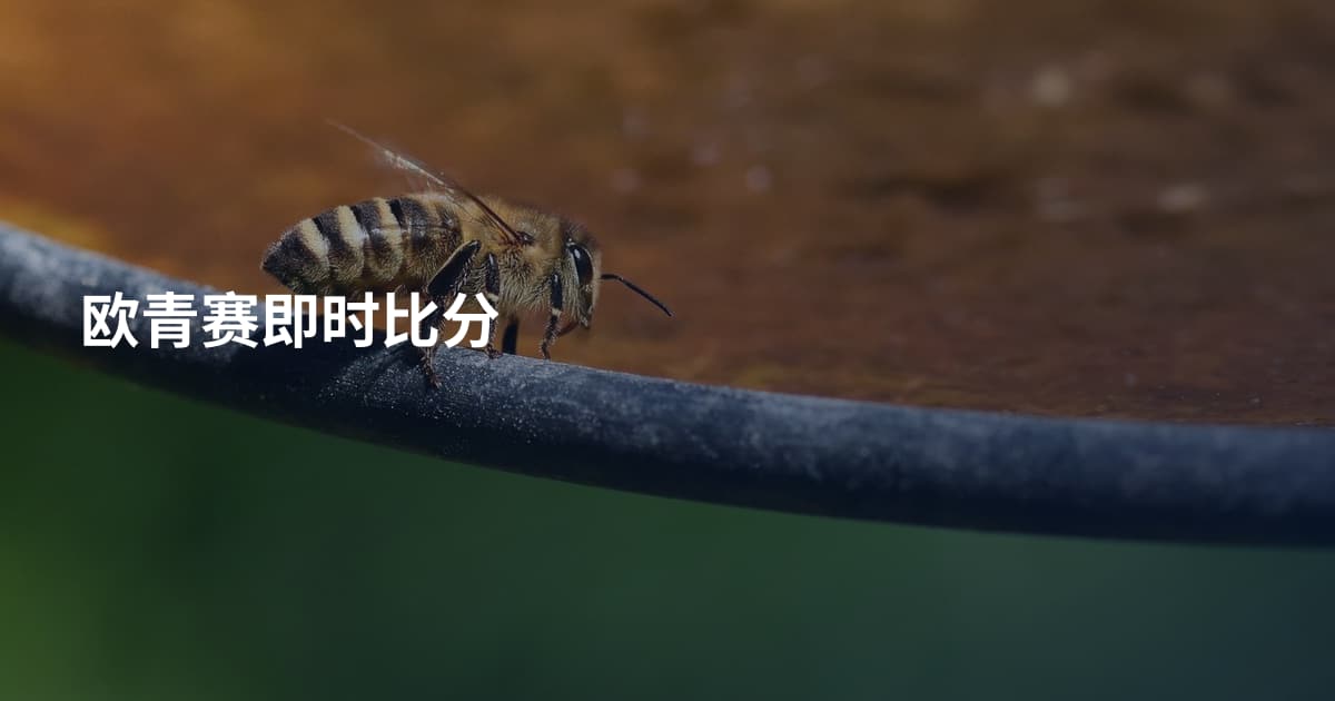 欧青赛即时比分