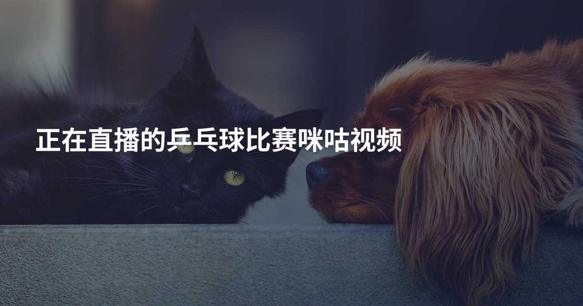 正在直播的乒乓球比赛咪咕视频