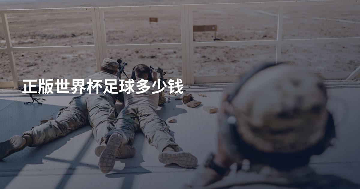 正版世界杯足球多少钱