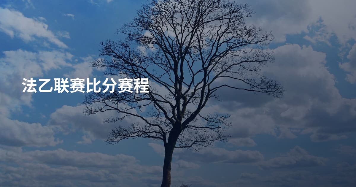 法乙联赛比分赛程