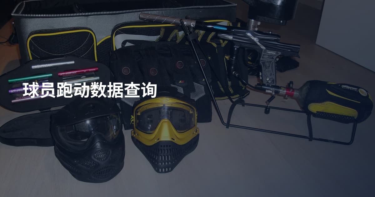 球员跑动数据查询