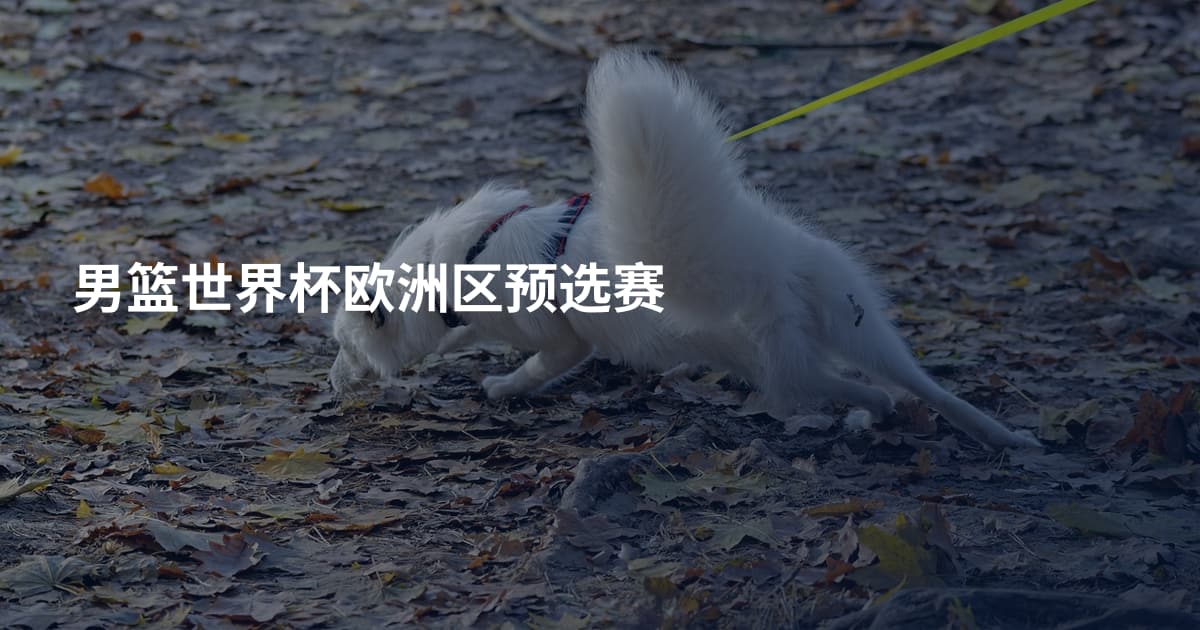 男篮世界杯欧洲区预选赛