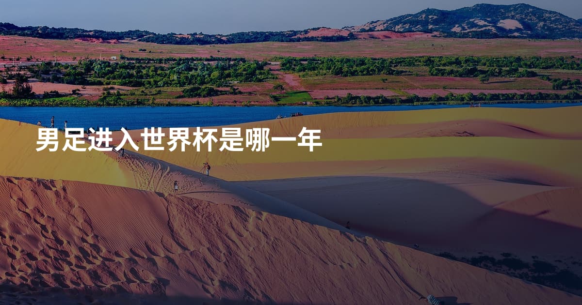 男足进入世界杯是哪一年