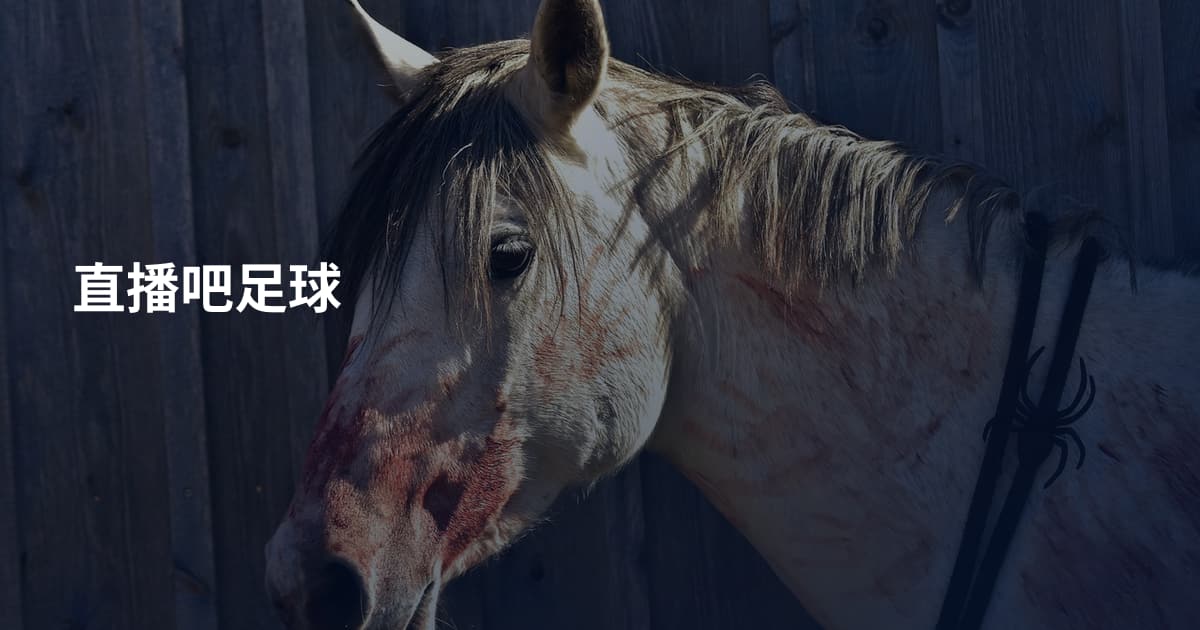 直播吧足球