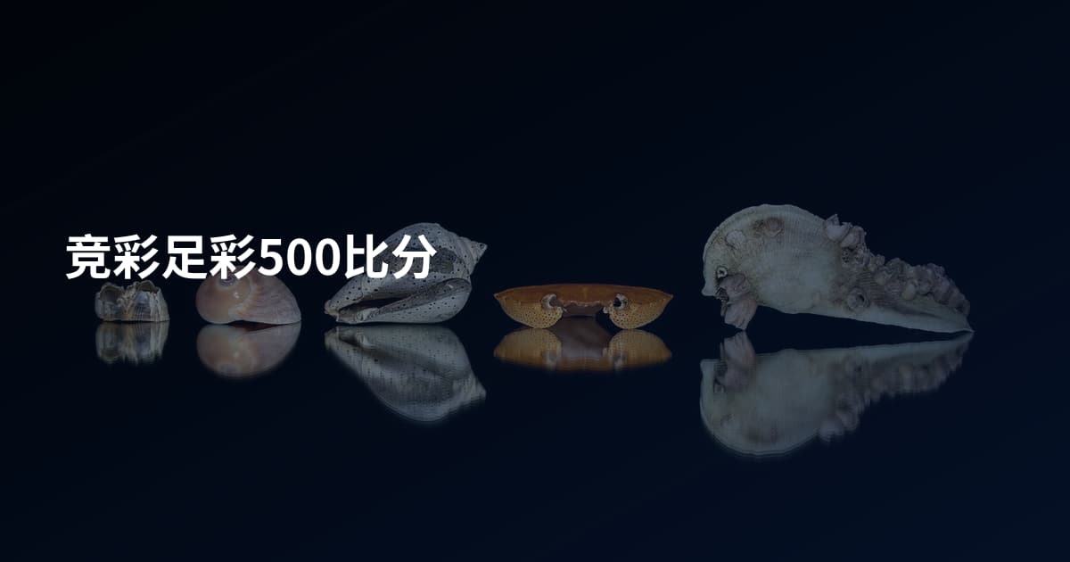 竞彩足彩500比分