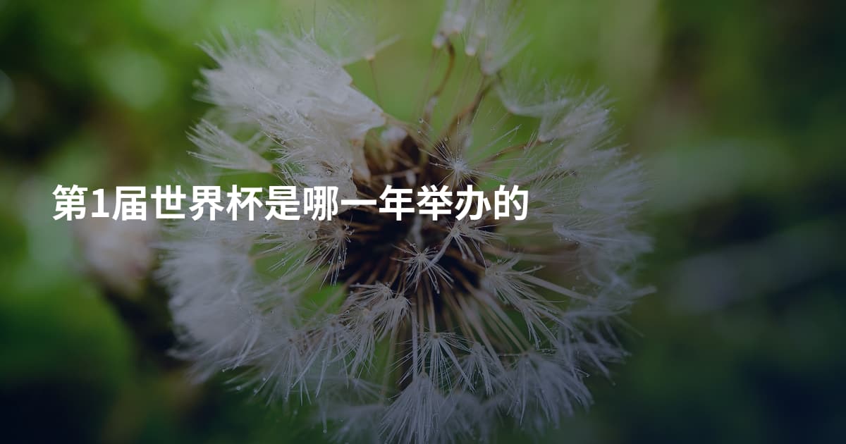 第1届世界杯是哪一年举办的