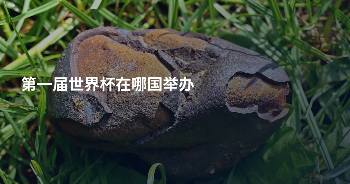 第一届世界杯在哪国举办