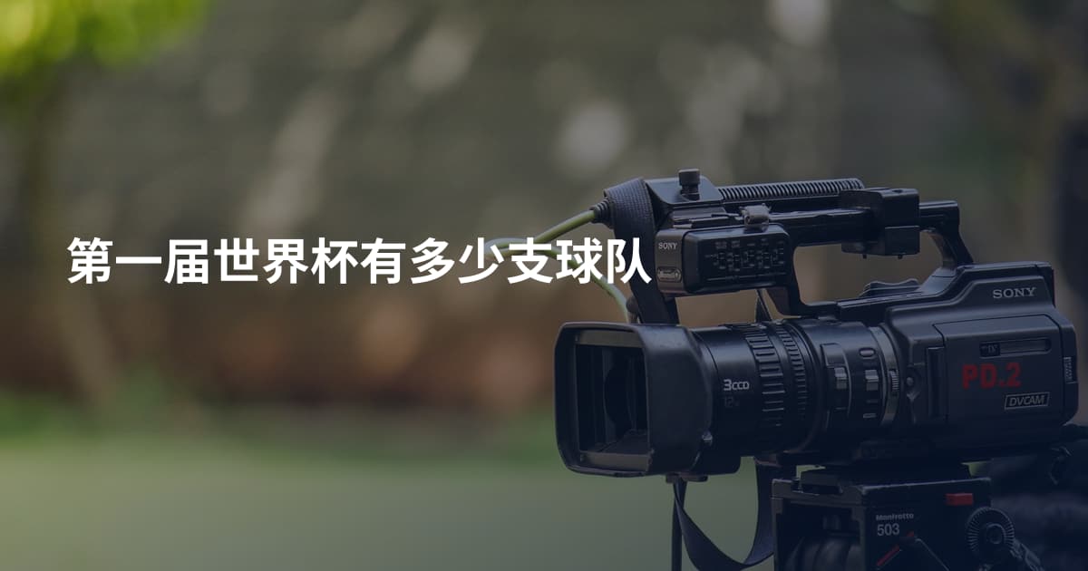 第一届世界杯有多少支球队
