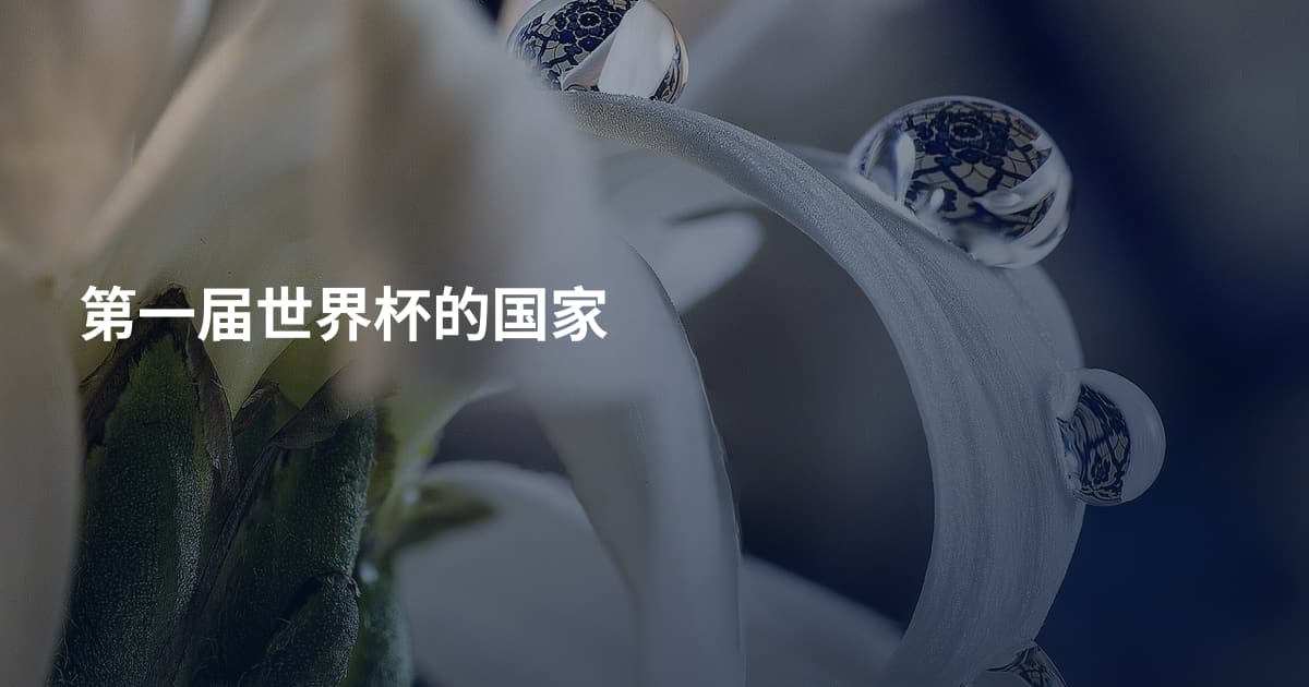 第一届世界杯的国家