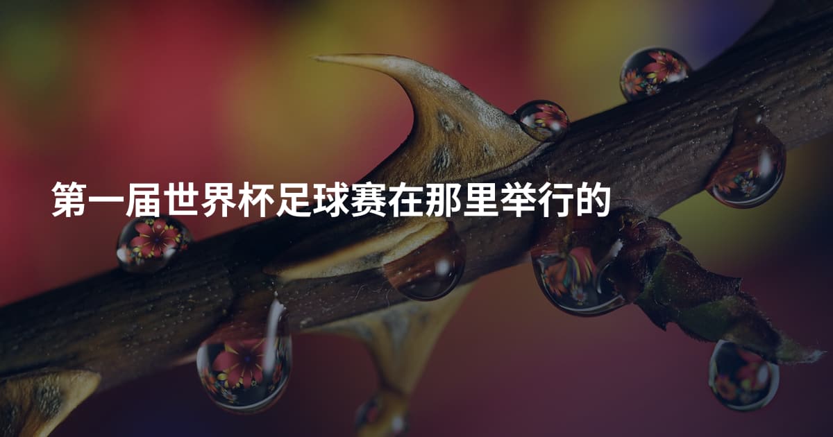 第一届世界杯足球赛在那里举行的