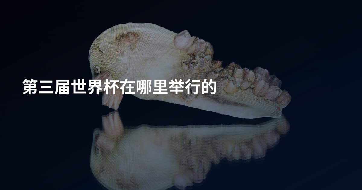 第三届世界杯在哪里举行的
