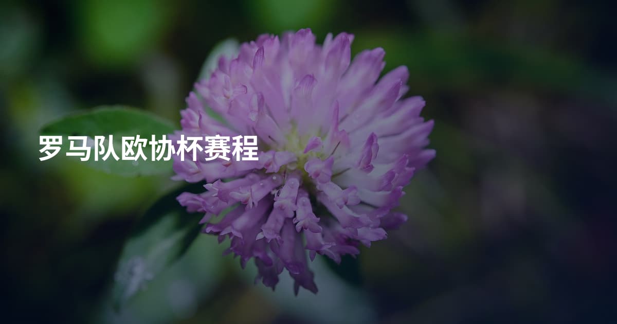罗马队欧协杯赛程