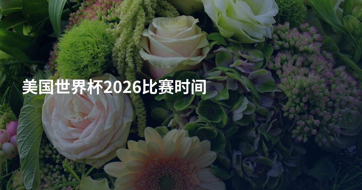 美国世界杯2026比赛时间