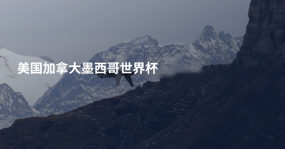 美国加拿大墨西哥世界杯