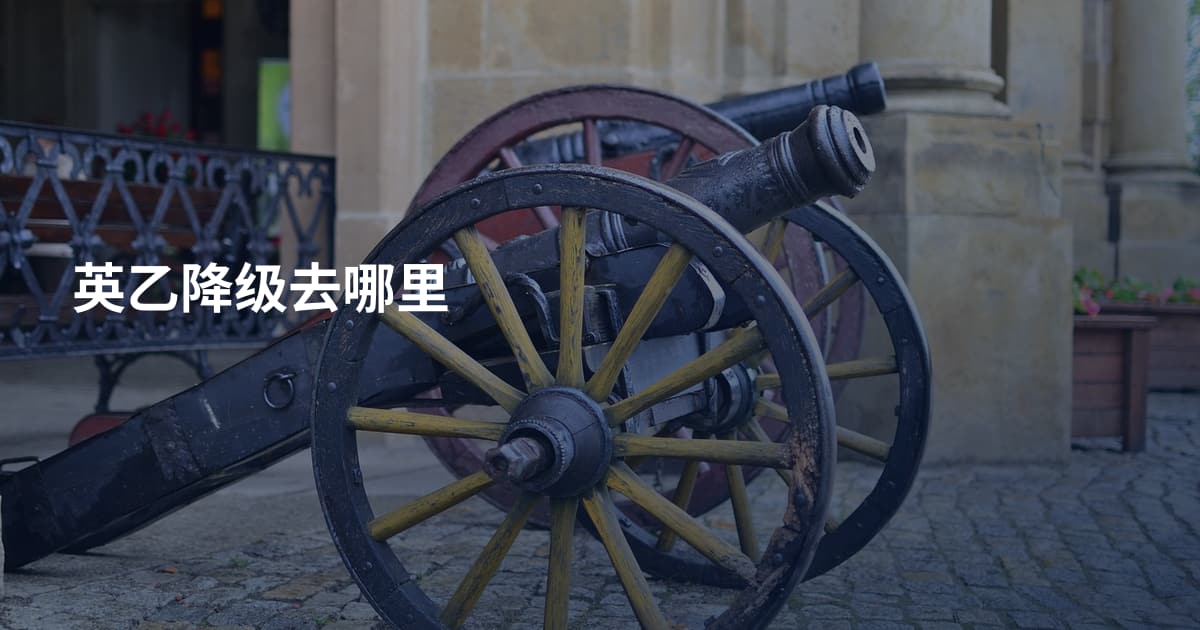 英乙降级去哪里