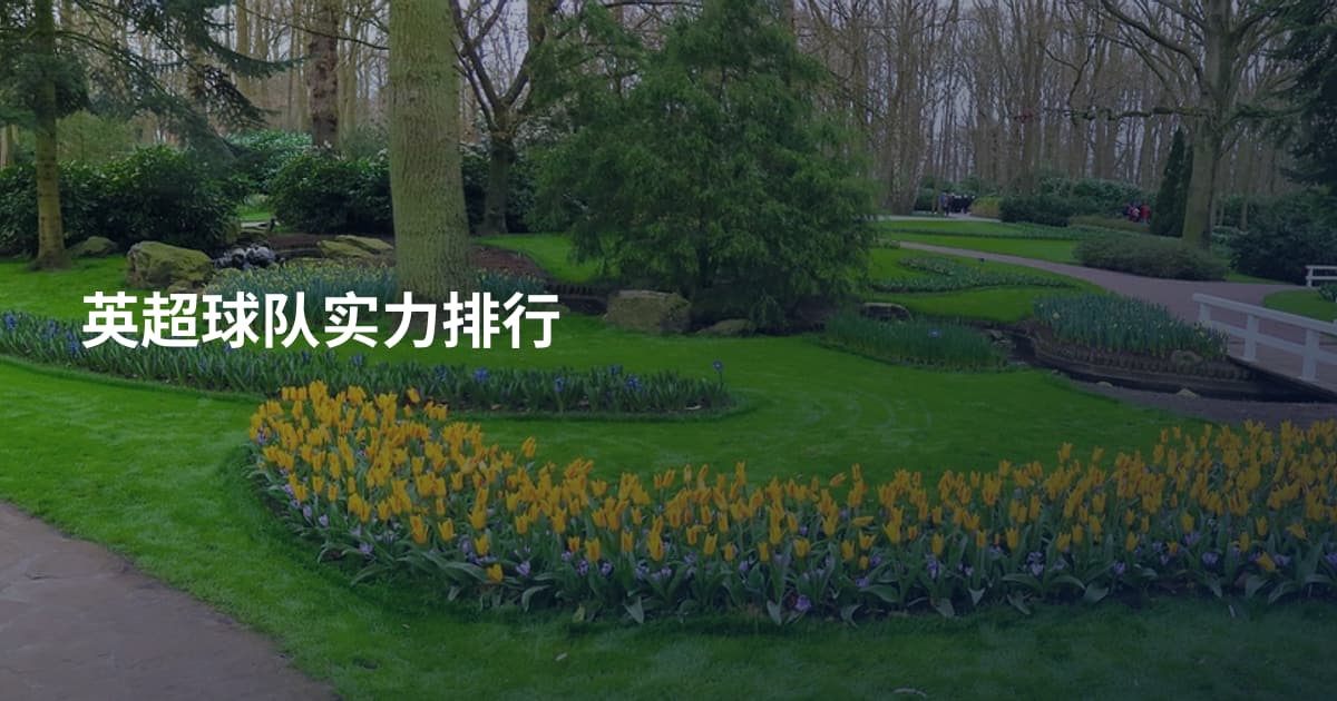 英超球队实力排行