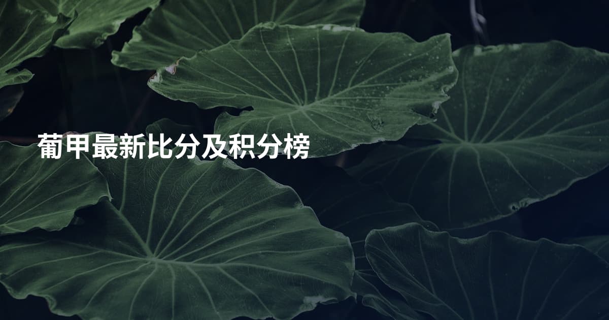 葡甲最新比分及积分榜