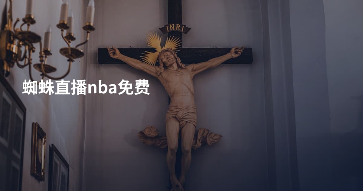 蜘蛛直播nba免费