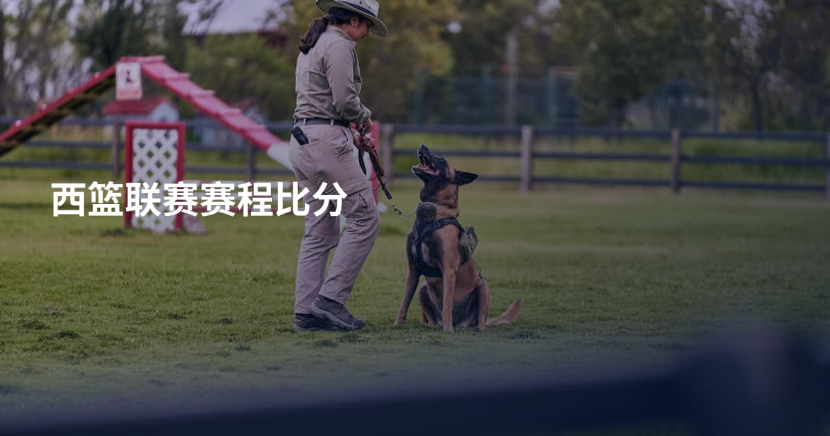 西篮联赛赛程比分