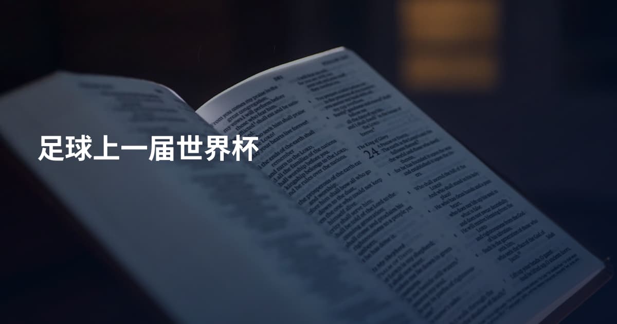 足球上一届世界杯
