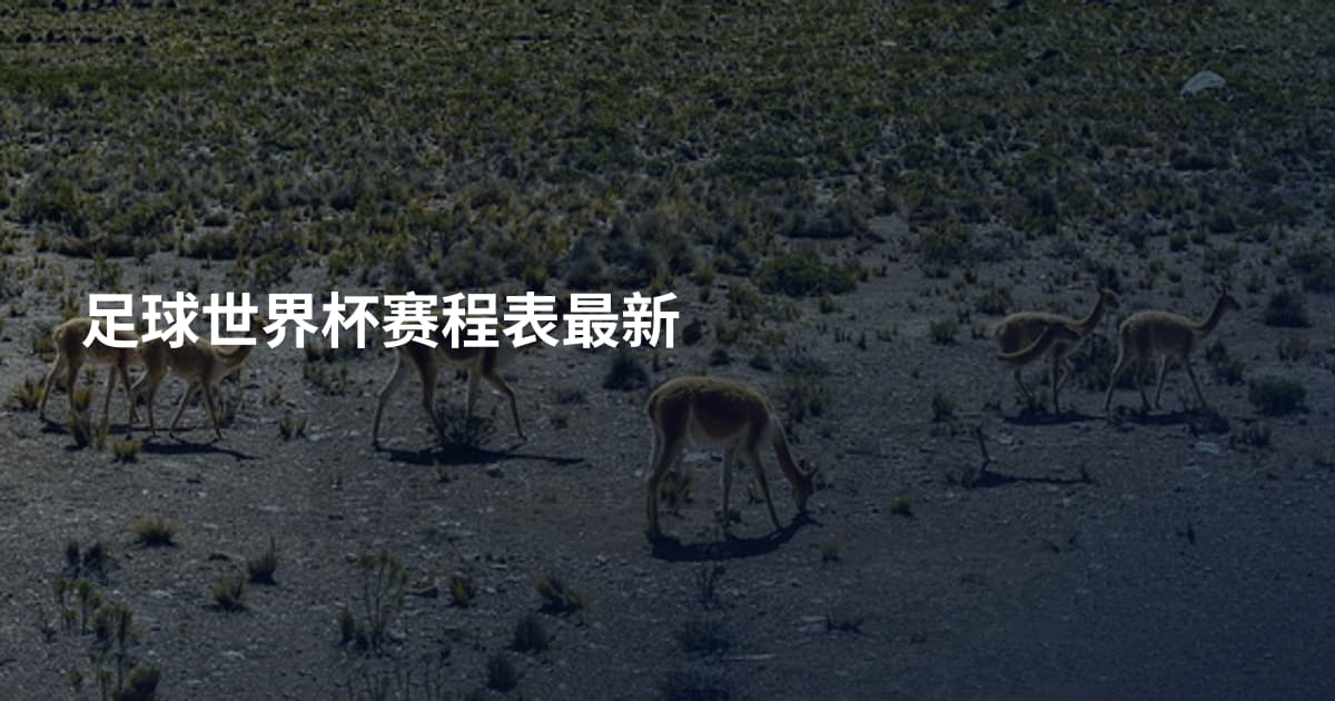 足球世界杯赛程表最新