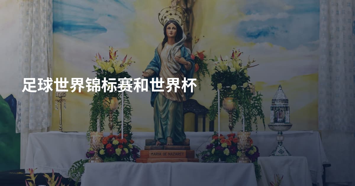 足球世界锦标赛和世界杯