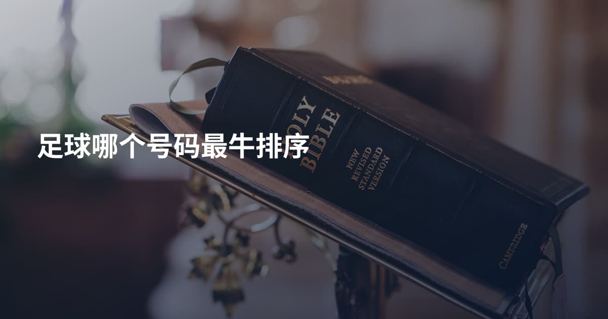 足球哪个号码最牛排序