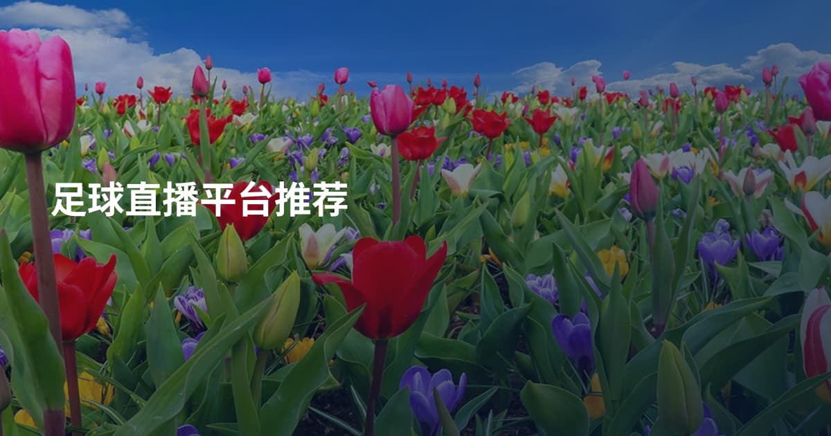 足球直播平台推荐