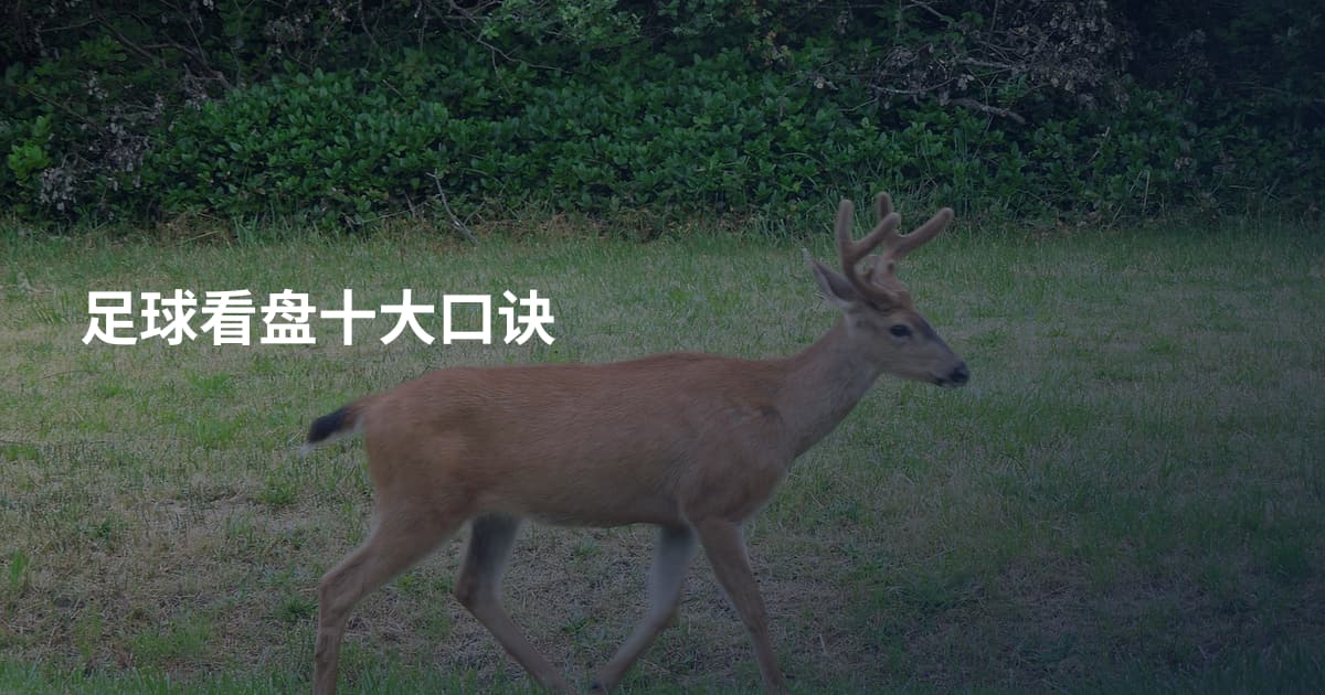足球看盘十大口诀