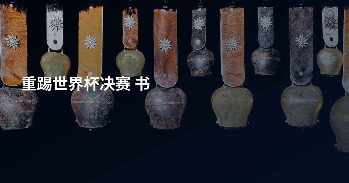 重踢世界杯决赛 书