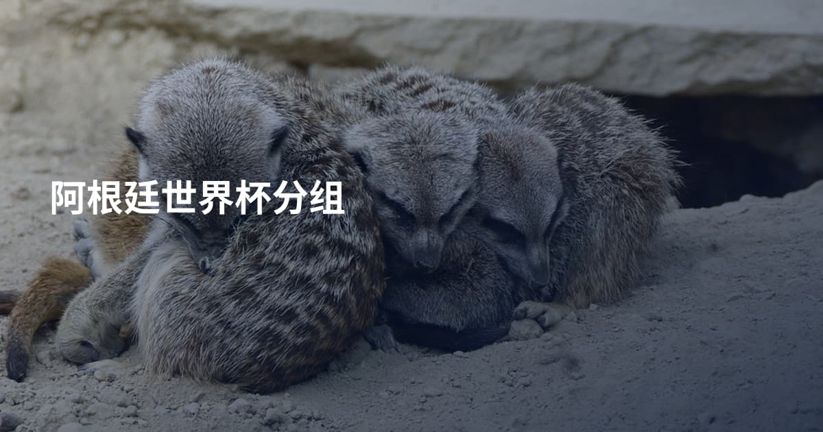 阿根廷世界杯分组