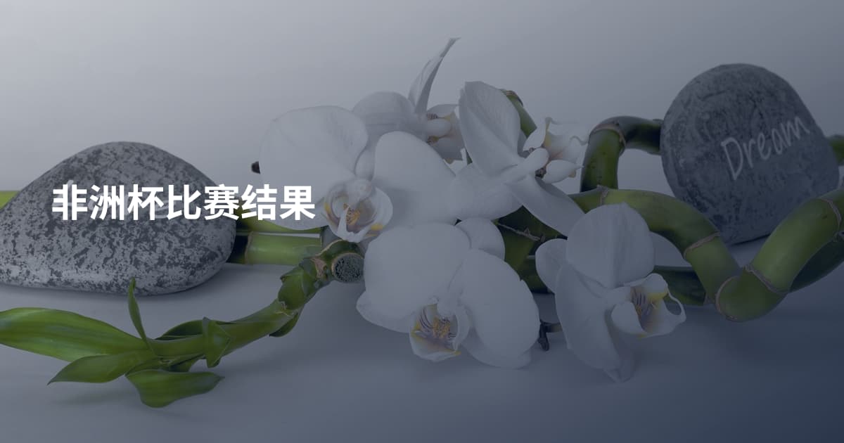非洲杯比赛结果