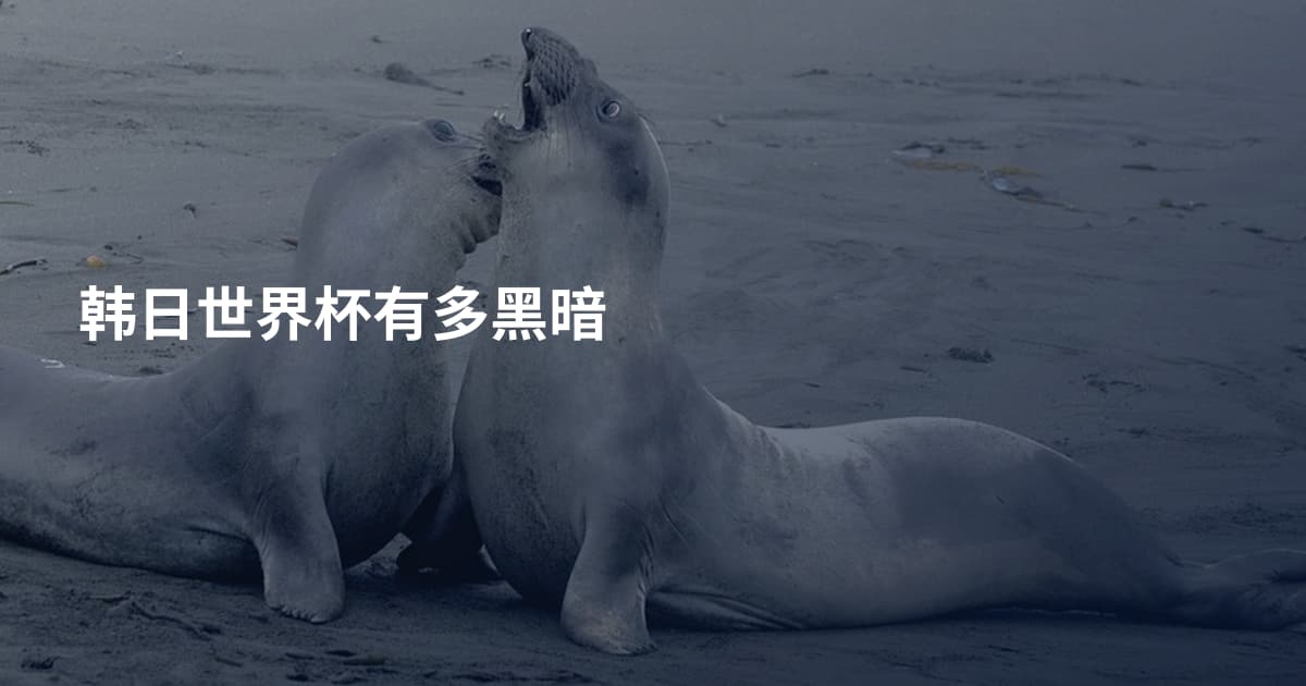 韩日世界杯有多黑暗