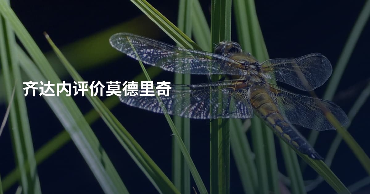 齐达内评价莫德里奇