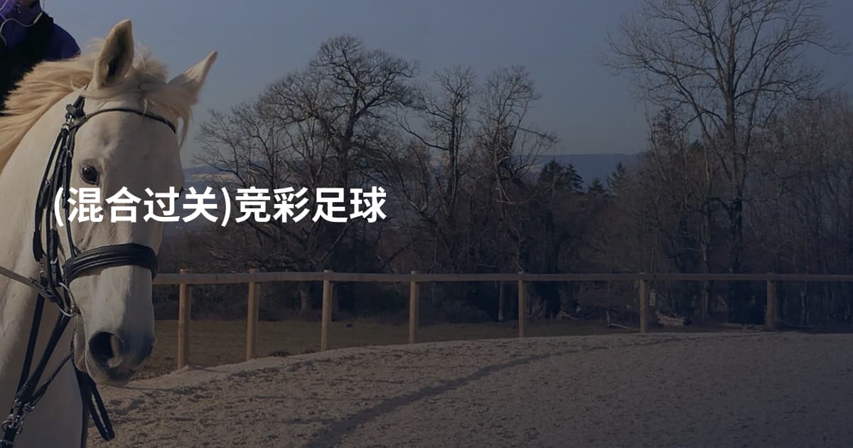 (混合过关)竞彩足球