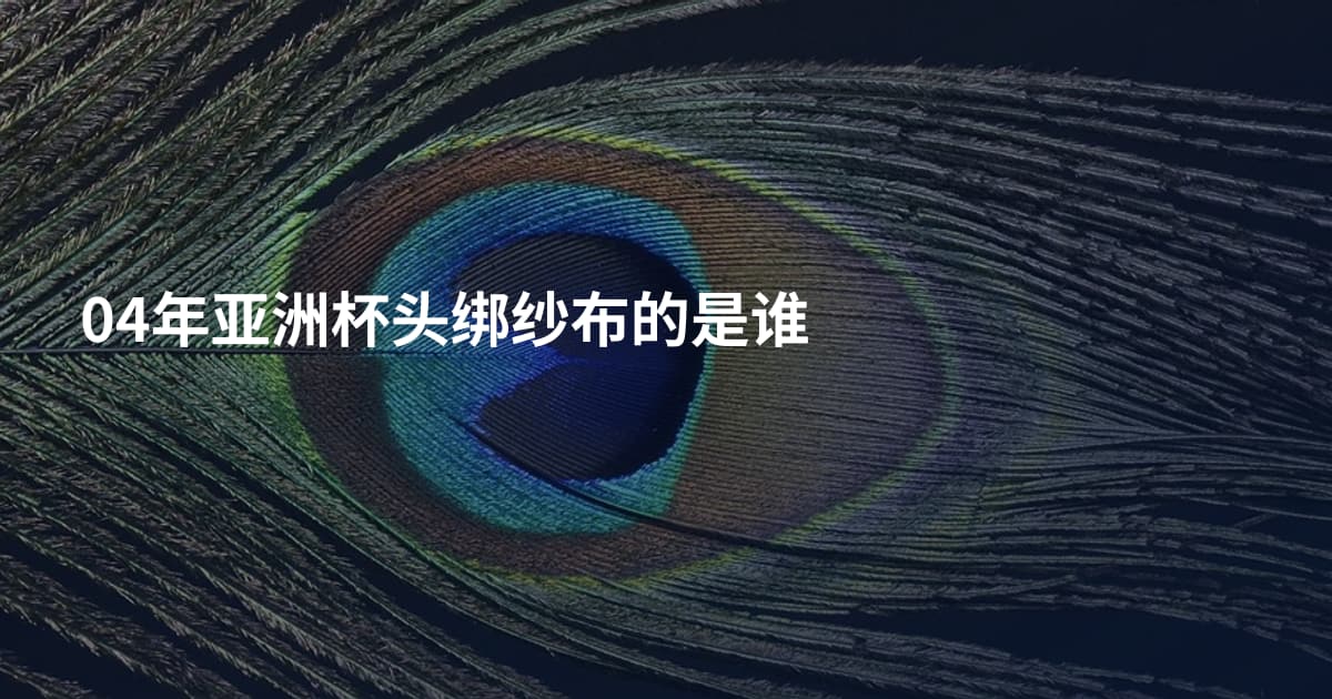 04年亚洲杯头绑纱布的是谁