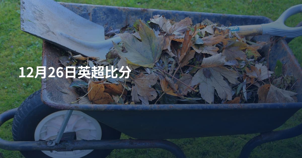 12月26日英超比分