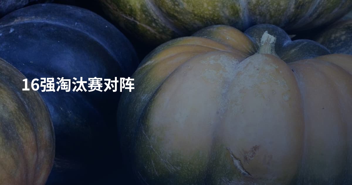16强淘汰赛对阵