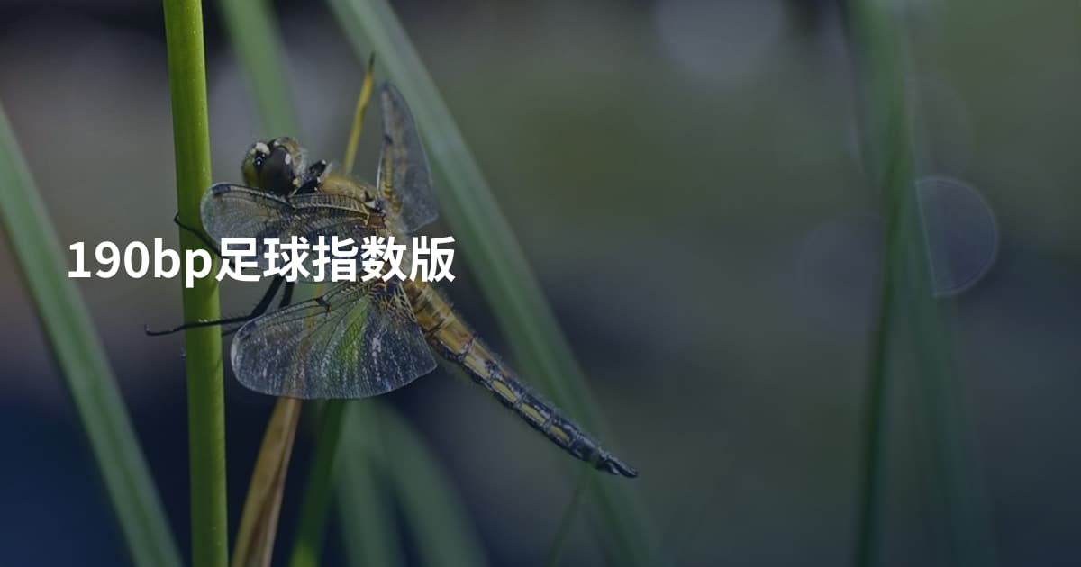 190bp足球指数版