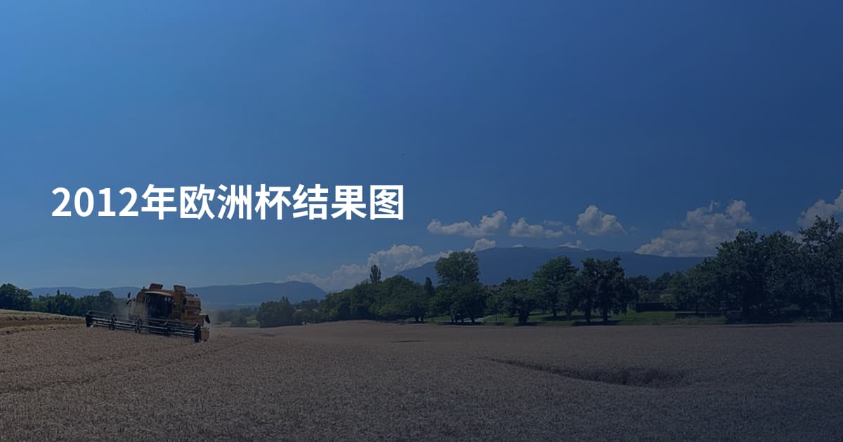 2012年欧洲杯结果图