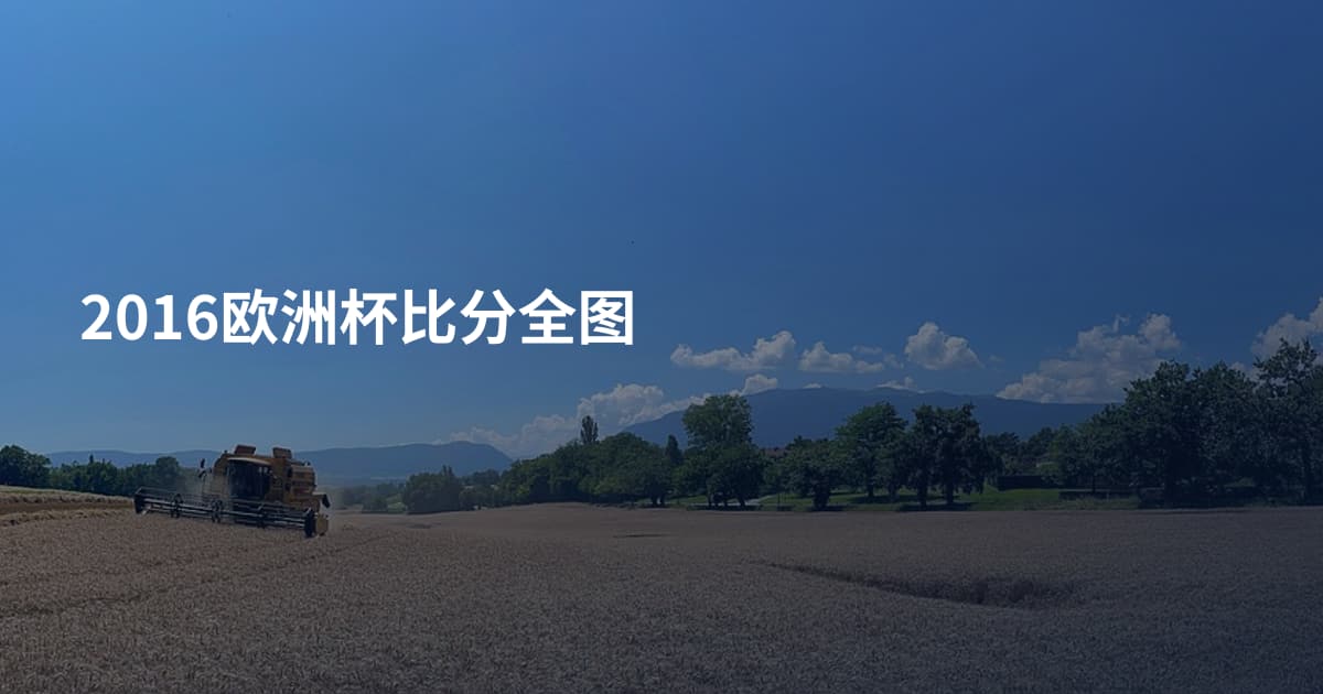 2016欧洲杯比分全图