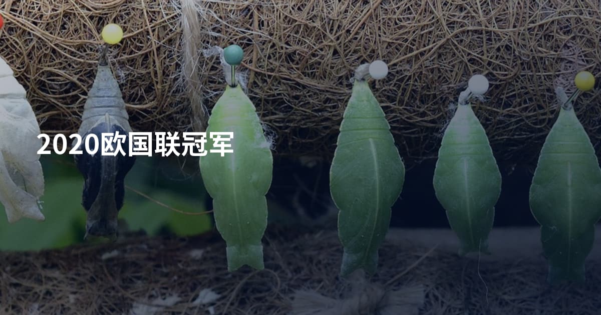 2020欧国联冠军