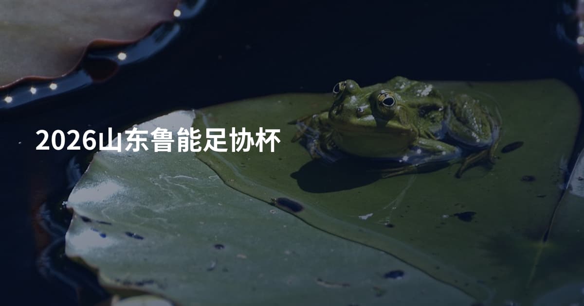 2026山东鲁能足协杯